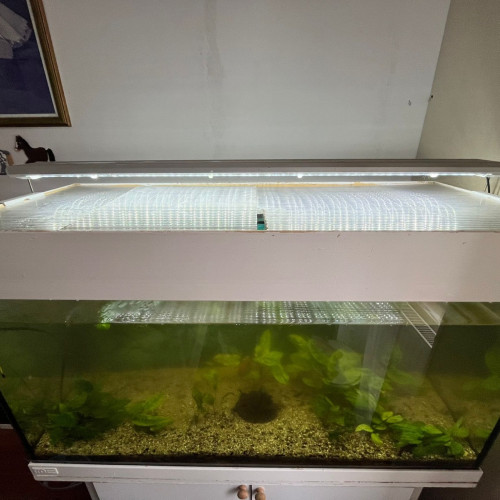 Aquarium 200 litres