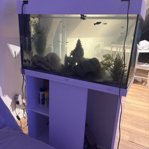 Aquarium juwel 125L