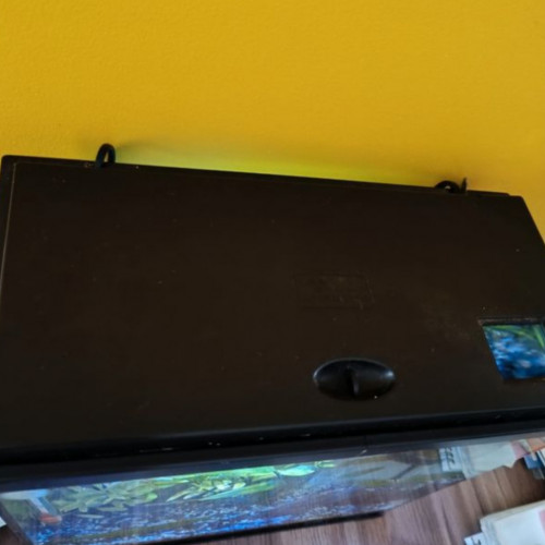Aquarium 22L en eau