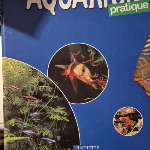 Aquarium Juwel 125 L avec accessoires