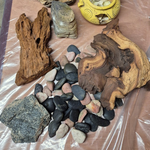 Ensemble décoration aquarium