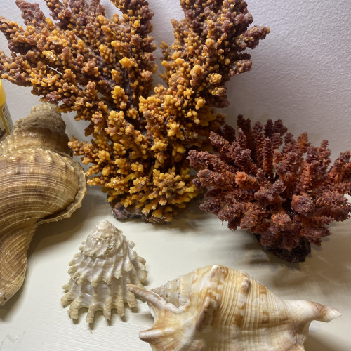 Lot de décoration aquarium marin