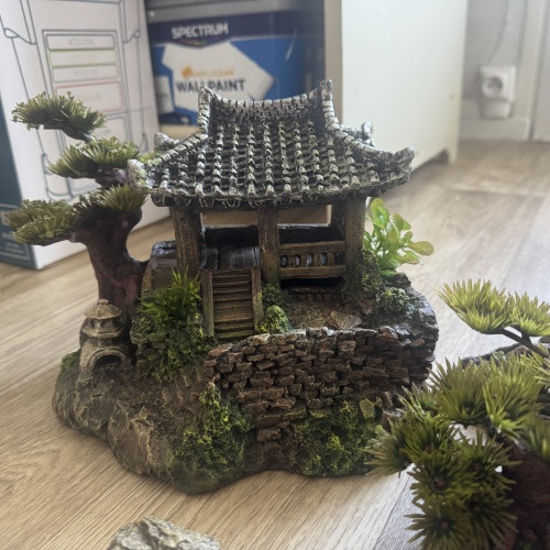 Décoration aquarium