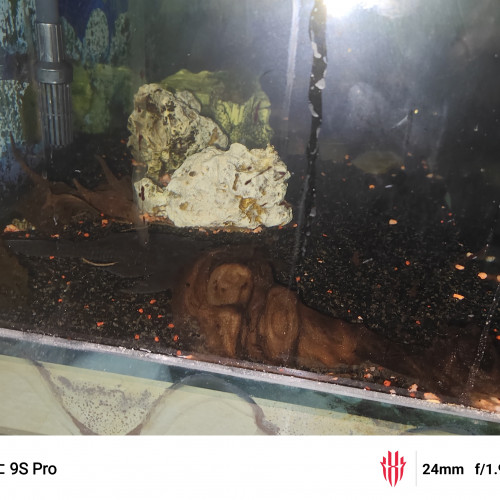 Aquarium et poissons à offrir,