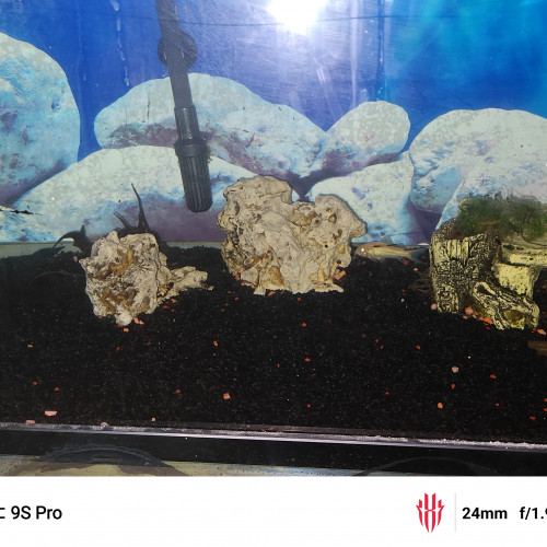 Aquarium et poissons à offrir,
