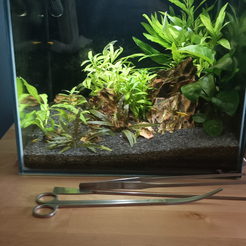 Aquarium Cuve 33L "Kubus Aquatlantis"