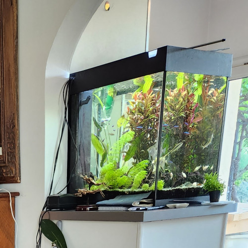 Vend aquarium jewel de 120 litres
