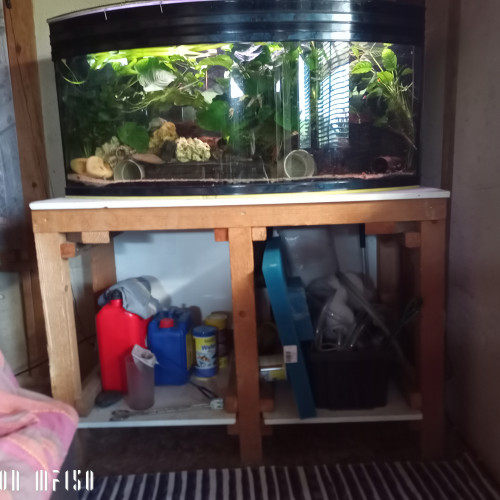 Donne aquarium+meuble+poissons et plantes