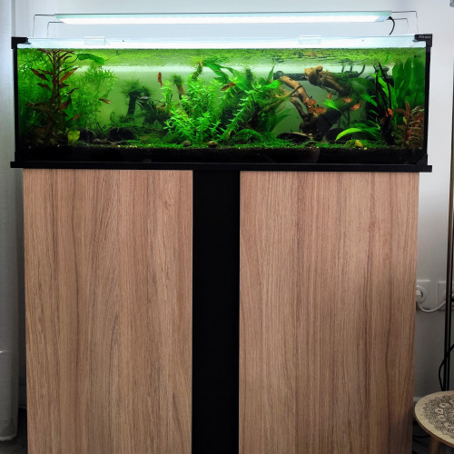 Pack complet aqua + meuble + rampe