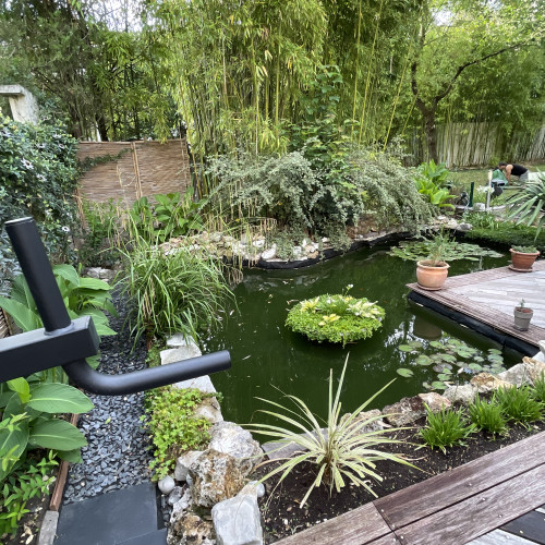 Recherche don de carpe koi pour les bichonner à vie