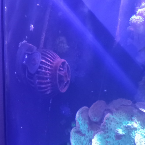 Aquarium