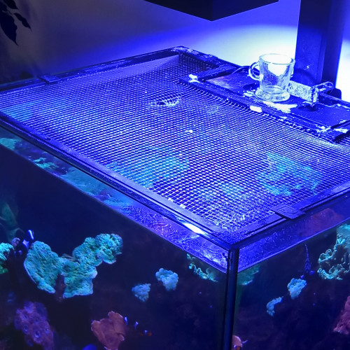 Aquarium