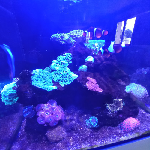 Aquarium