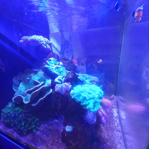 Aquarium