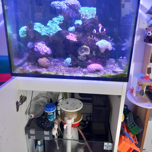 Aquarium