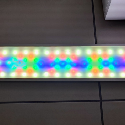Rampe twinstar light 600EC