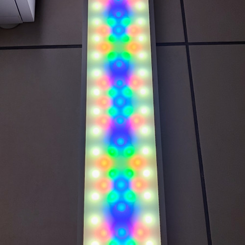 Rampe twinstar light 600EC