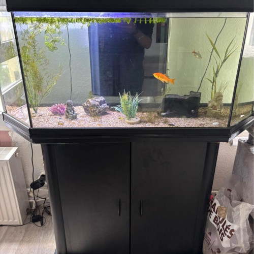 Aquarium