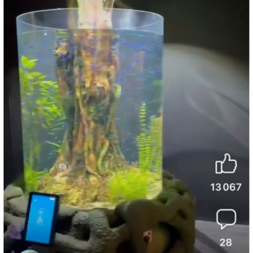 Aquarium BIORB Collonne de 30L