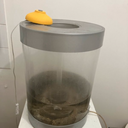 Aquarium BIORB Collonne de 30L