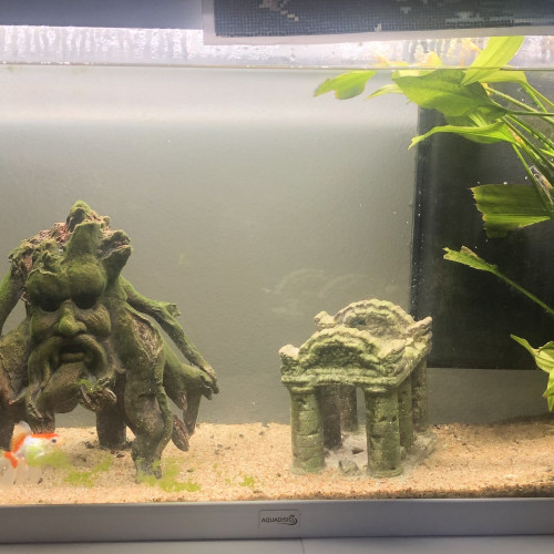 Aquarium 120L + meuble