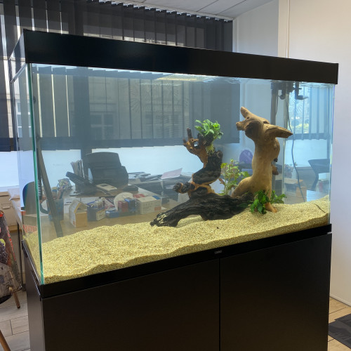 Aquarium 200litres