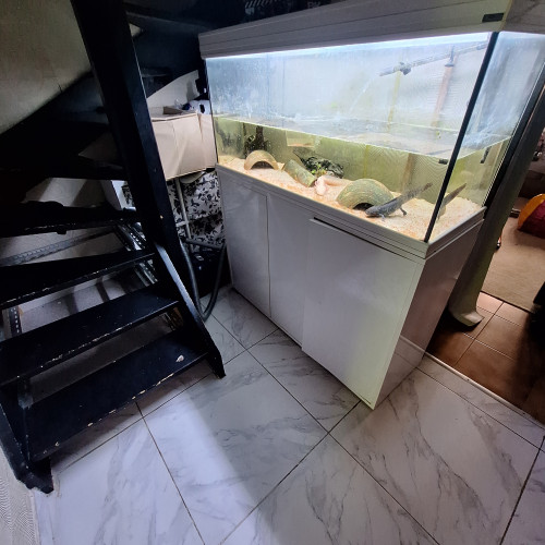 Aquarium 300l avec pompe