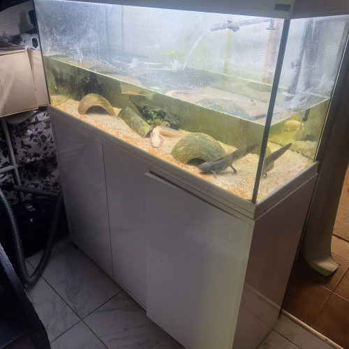 Aquarium 300l avec pompe