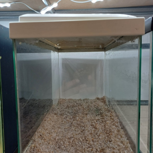 Aquarium 20L equipé blanc sol neutre