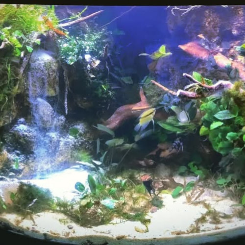 200L d'angle équipé