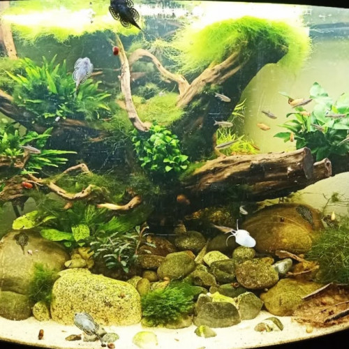200L d'angle équipé