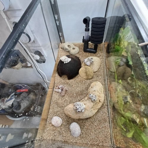 Aquarium 20L equipé complet sol sable de loire