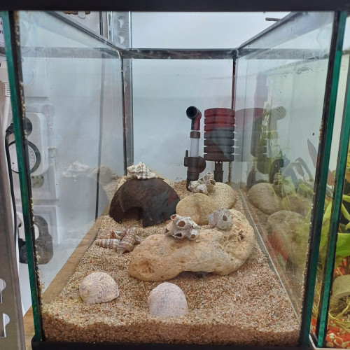 Aquarium 20L equipé complet sol sable de loire