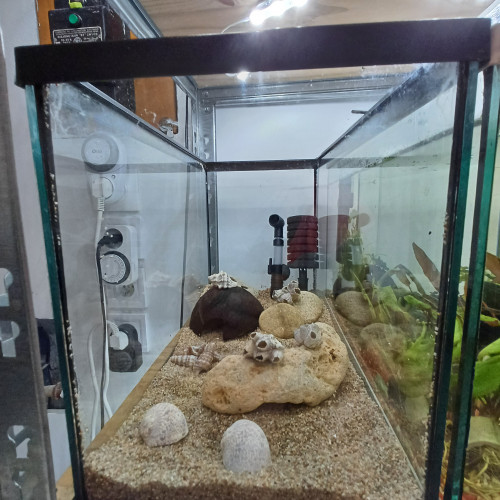 Aquarium 20L equipé complet sol sable de loire