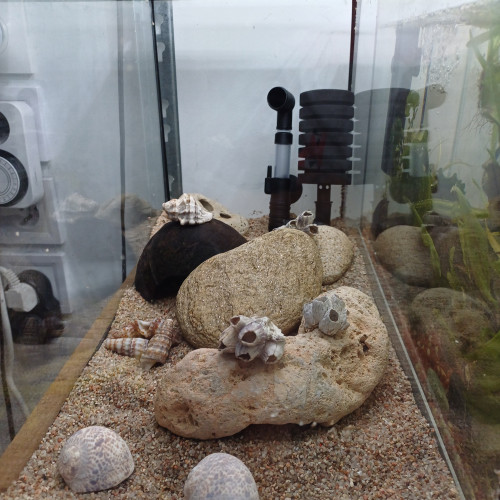 Aquarium 20L equipé complet sol sable de loire