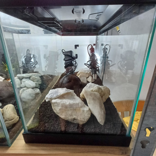 Aquarium 20L sol technique équipé