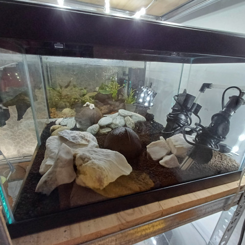 Aquarium 20L sol technique équipé