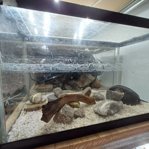 Aquarium 20L sol neutre blanc