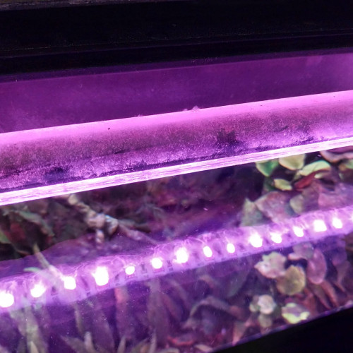 Vend Aquarium complet 450 L