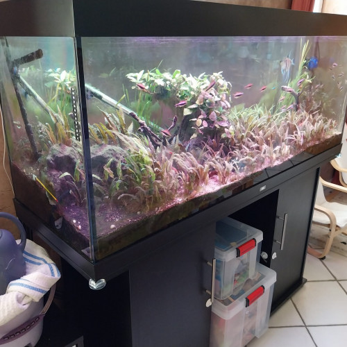 Vend Aquarium complet 450 L