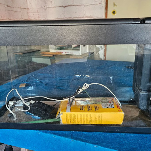 Aquarium 100 L
