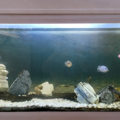 Aquarium