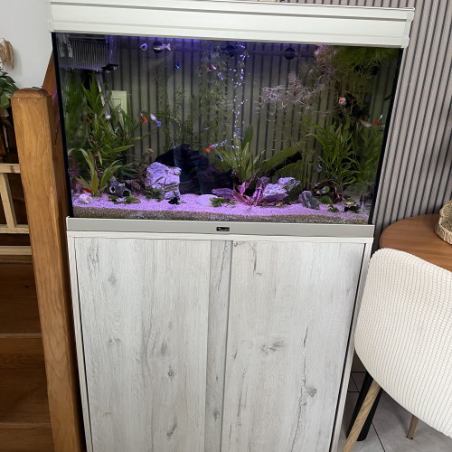 Recherche poissons