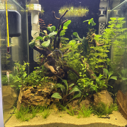 Nano dennerle 30 l