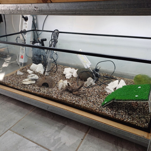 Aquarium 80L equipé