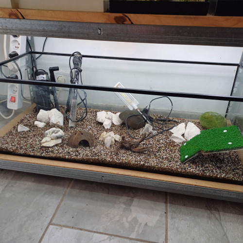 Aquarium 80L equipé