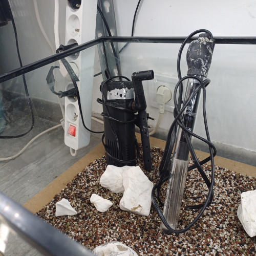 Aquarium 80L equipé