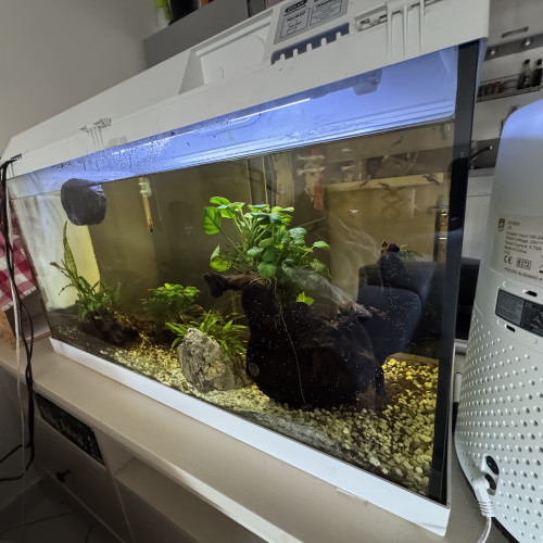 Aquarium complet et accessoires