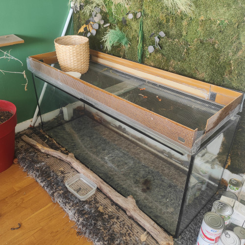 Donne Aquarium 600 litres avec fêlure à réparer