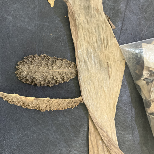 Feuilles naturelles :banane oreilles Bouddha….
